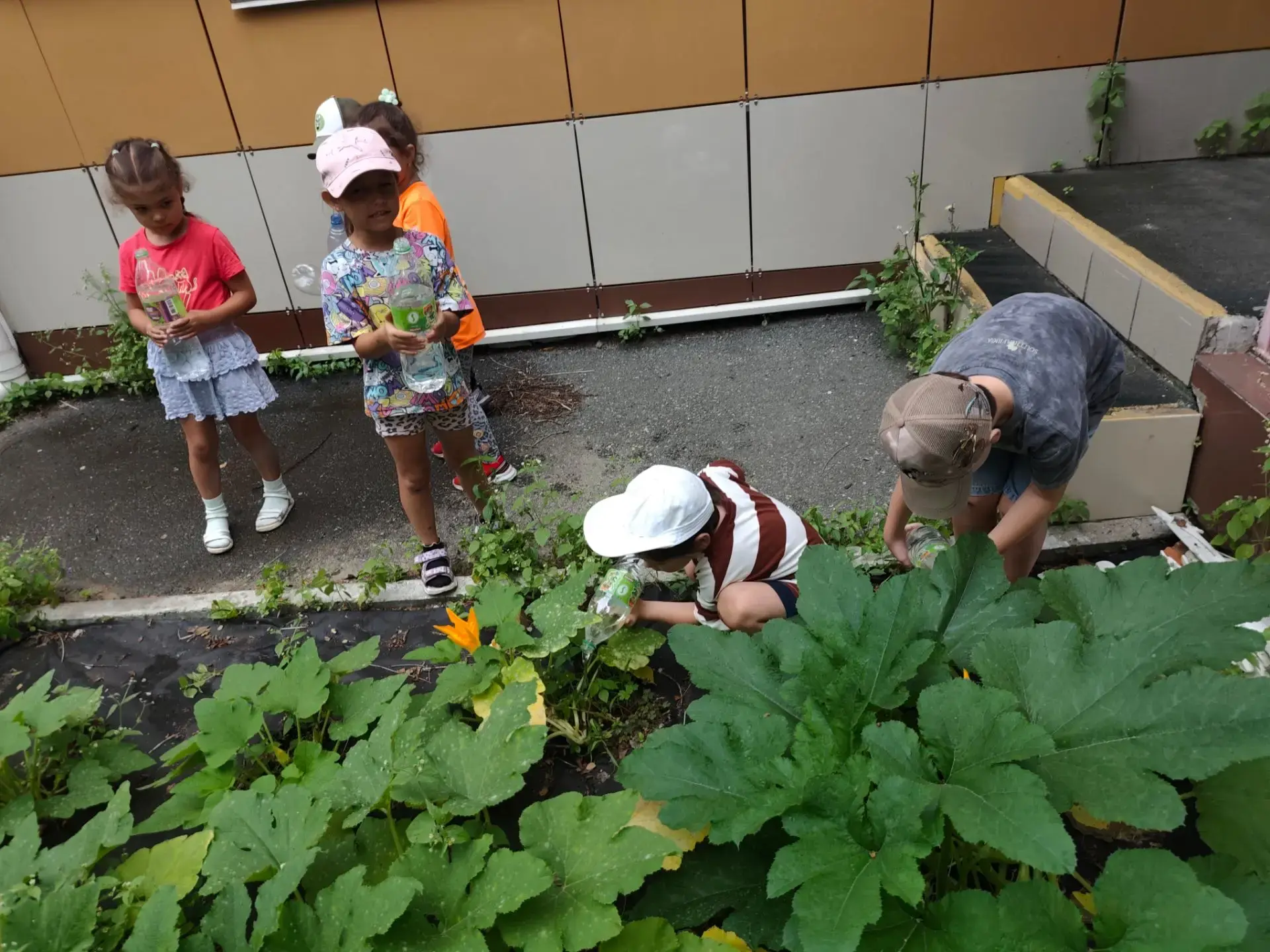 🍅🥒 Посмотрите, какой шикарный огород у нас в группе «Ладушки»! 🥦🥕