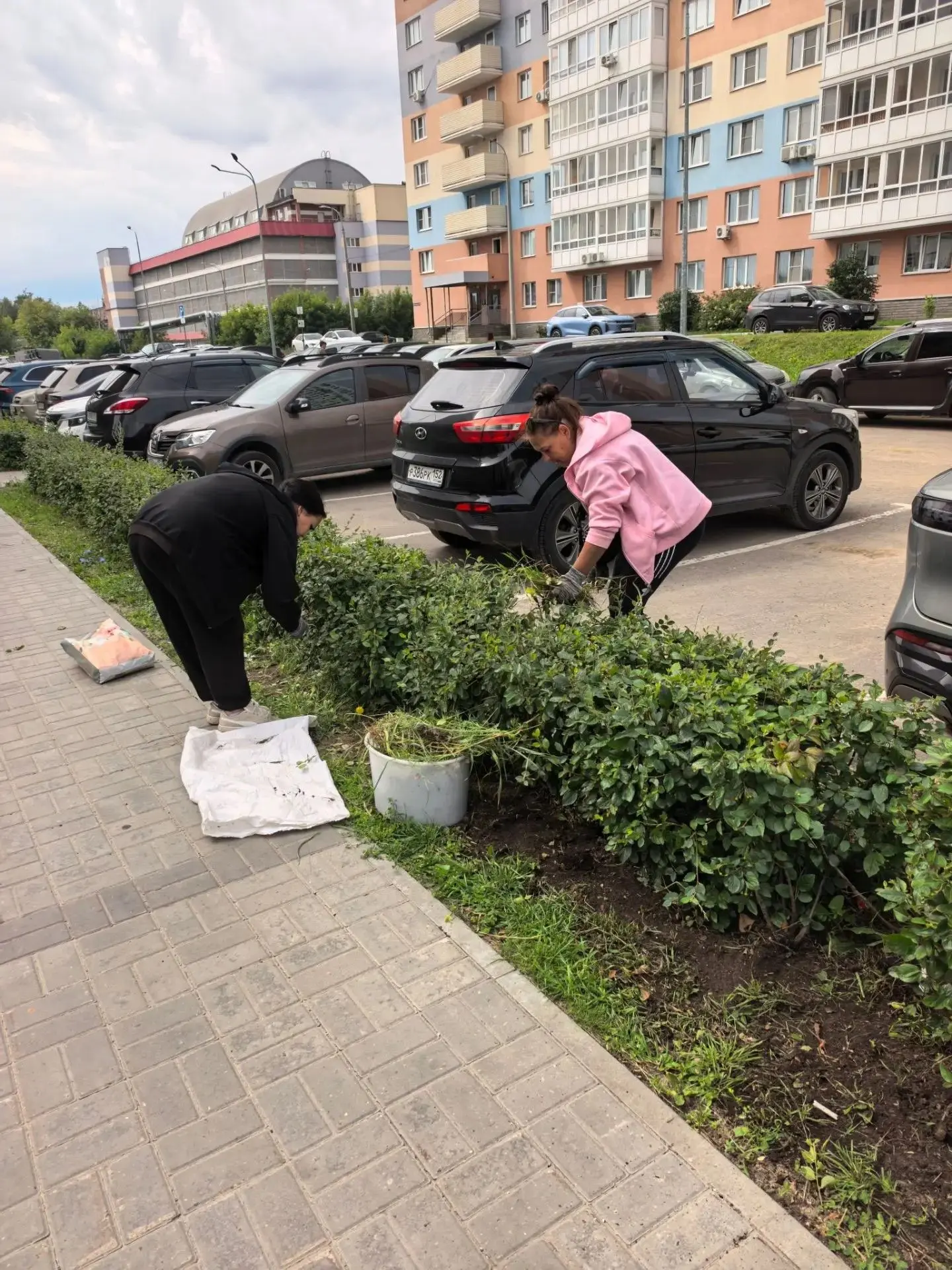 🌿Продолжается благоустройство территории жилого комплекса. В настоящее время активно в...