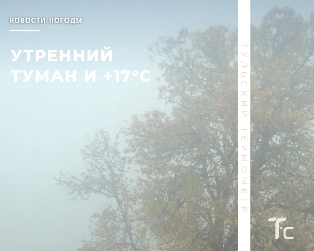 🌫️ Там за туманами​