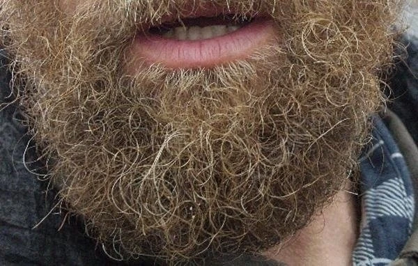 🧔‍♂️В мужской бороде больше микробов, чем в шерсти собак, — учёные.

На лице создаются особые услов
