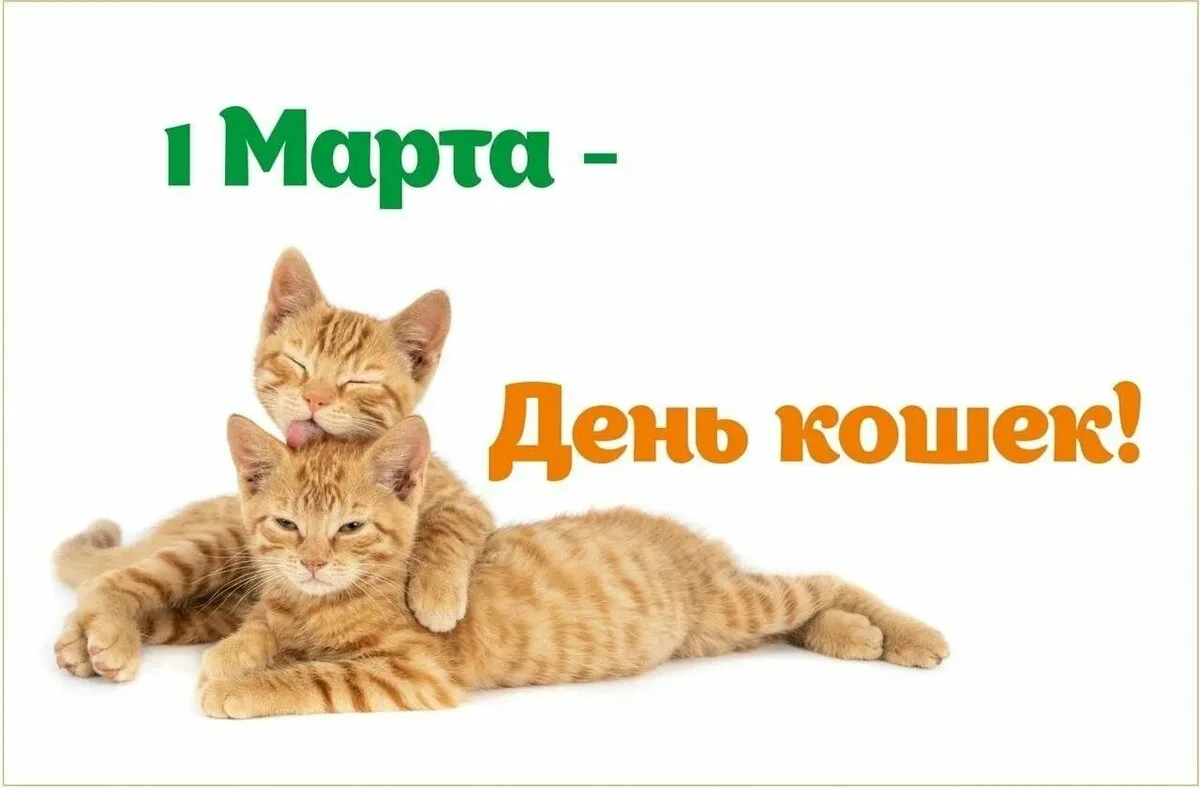 🐈В Детской школе искусств прошел информационный час «Кошкин день: праздник усатых и хв...