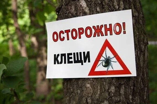 Клещи очень опасны, так как могут переносить такие заболевания как: клещевой вирусный энцефалит - ви