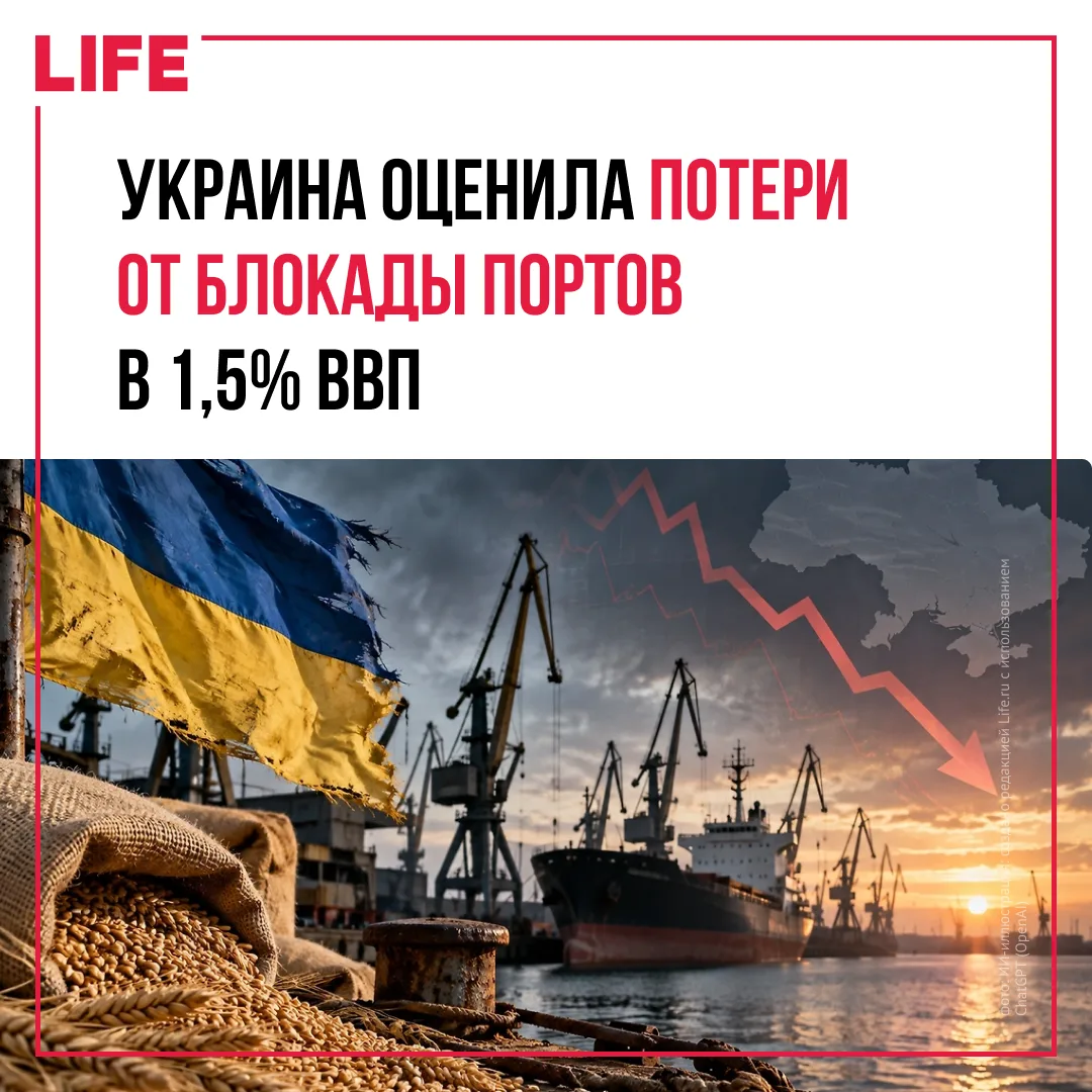 Экономические потери Украины из-за атак и фактической блокады черноморских портов оцени...
