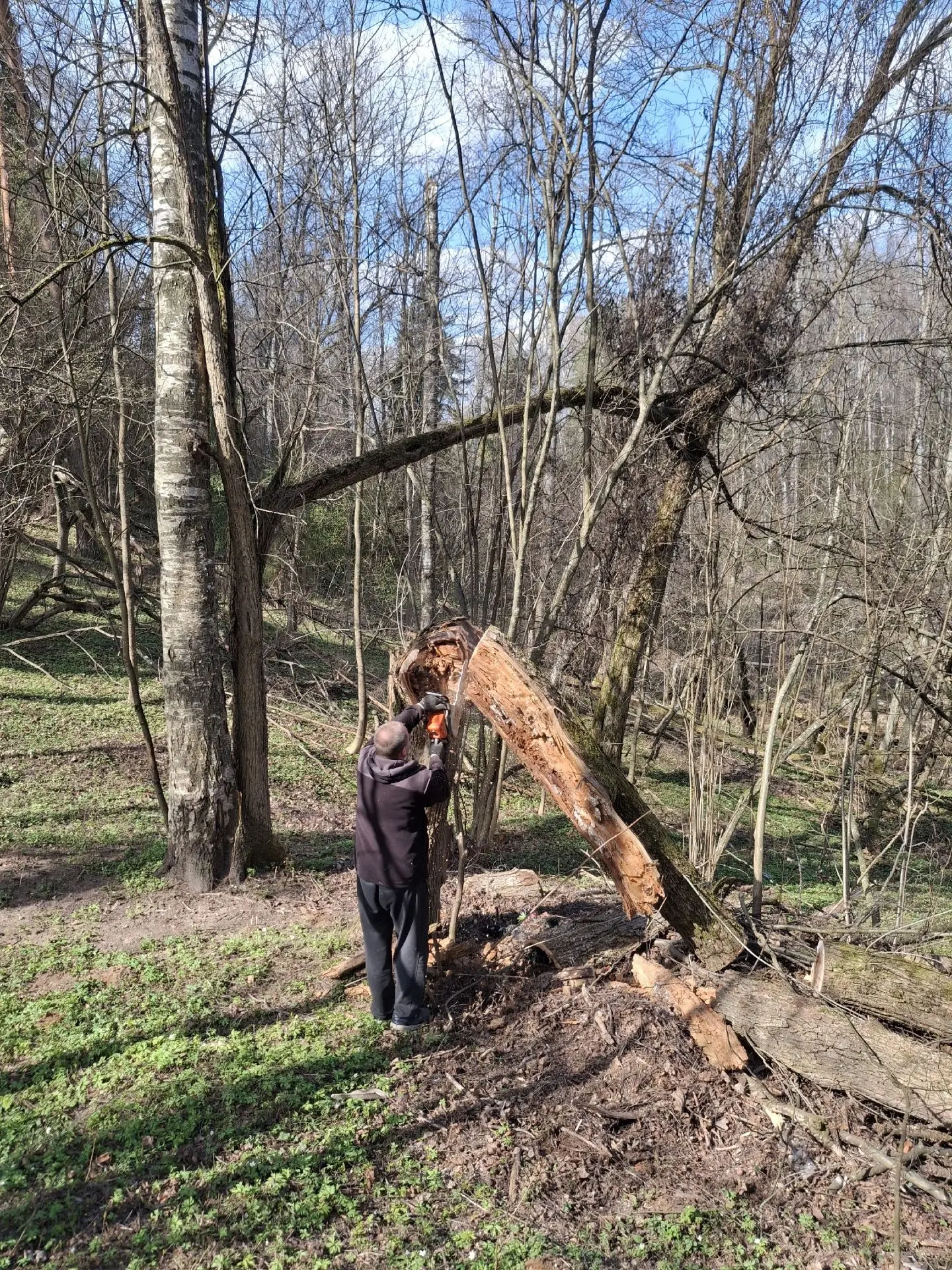✅В рамках весеннего субботника навели порядок на прилегающем к территории дома ветерано...