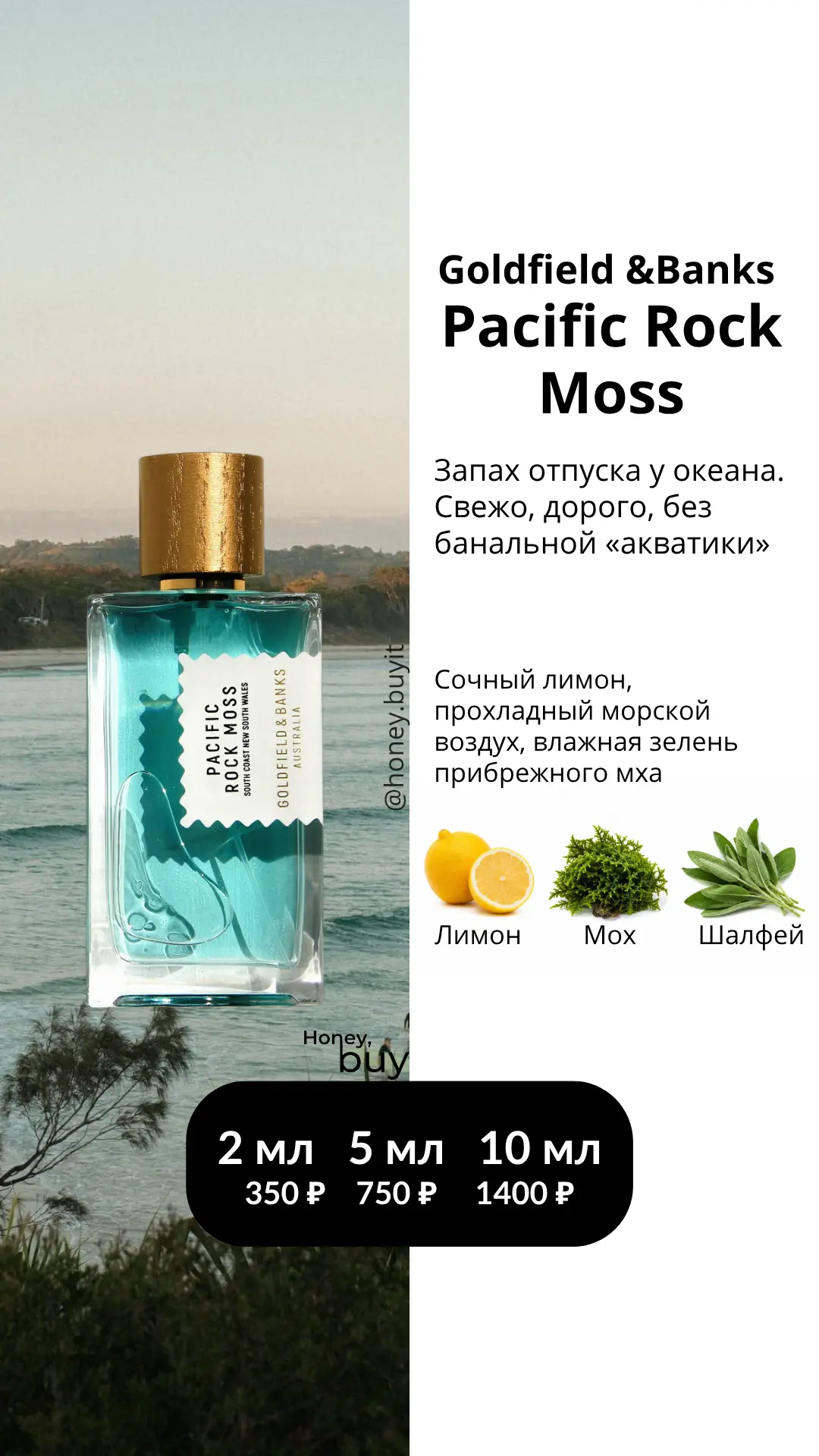 Goldfield & Banks Pacific Rock Moss