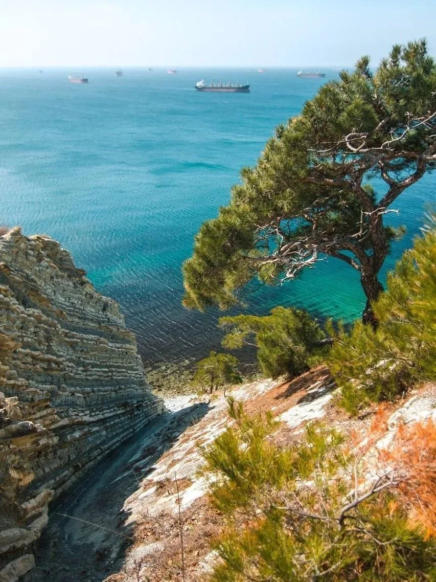 🌊 Голубая бухта — место, где море встречается с реликтовым лесом