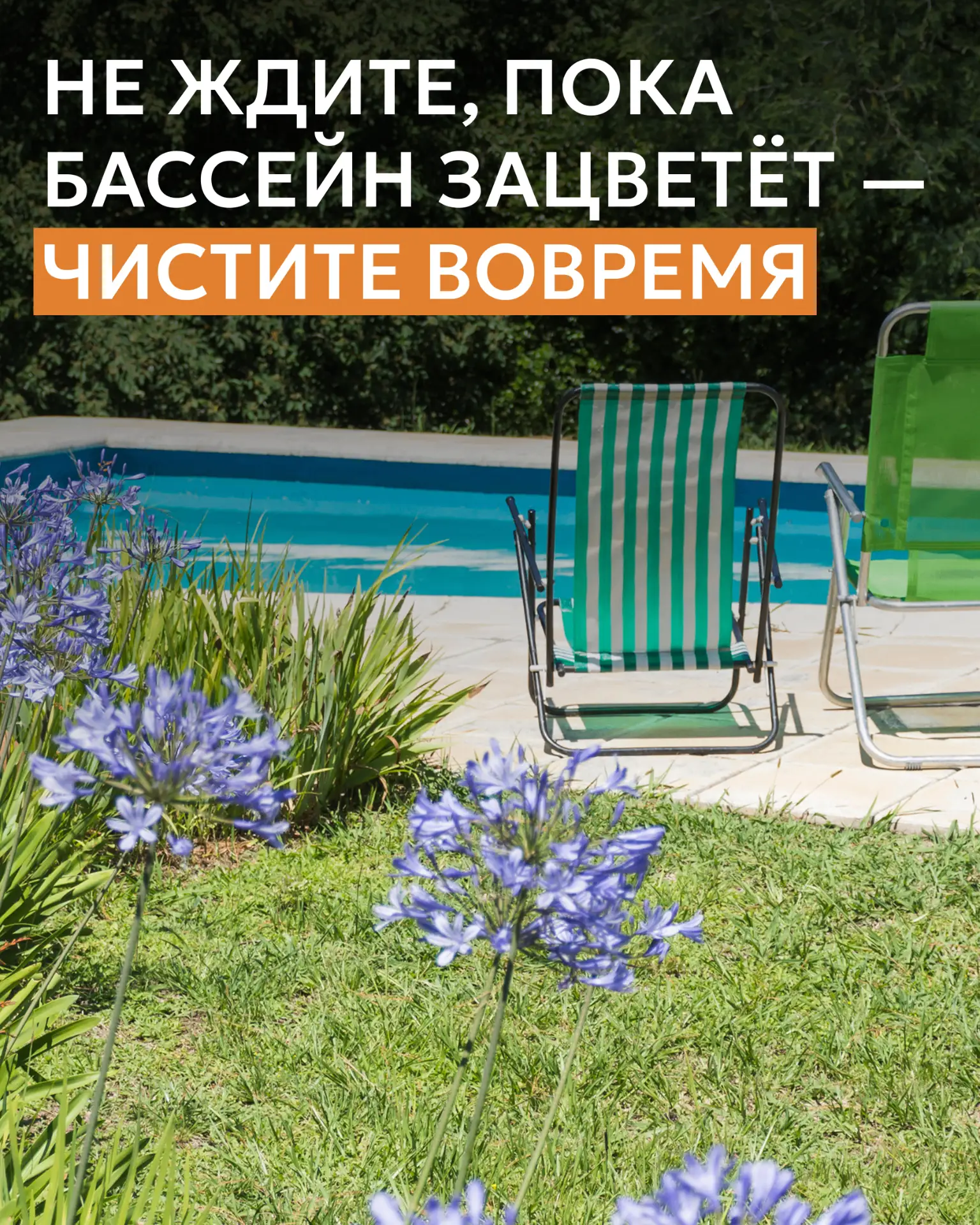 Чистка и уход за бассейном: прозрачная вода без лишних хлопот 💦☀️
Чтобы вода оставалась безопасной 