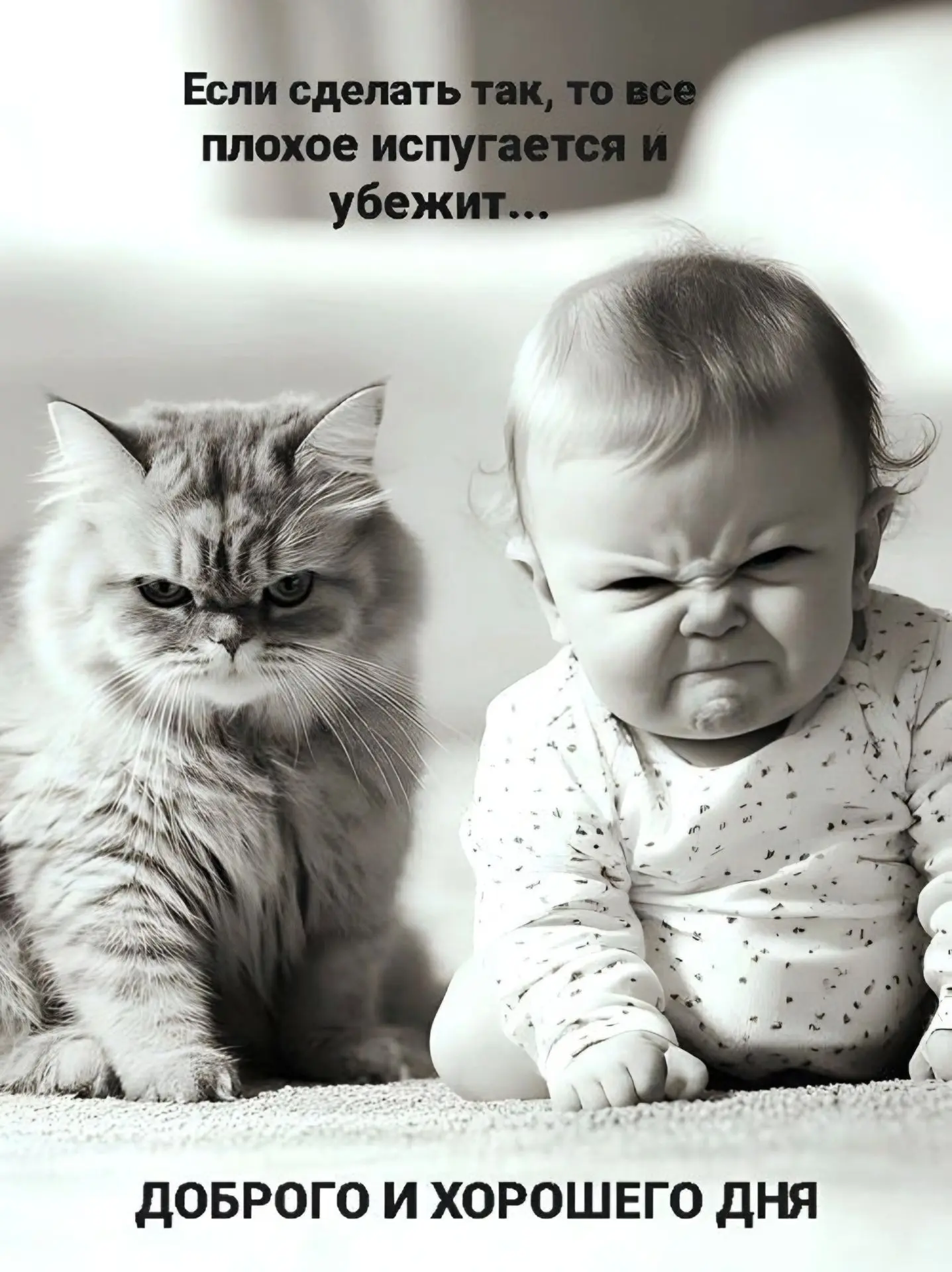 Спасибо за реакции — очень ценю!

#юмор #смех #смешно #прикол #умора #юморжизни #смехдослез #минутка