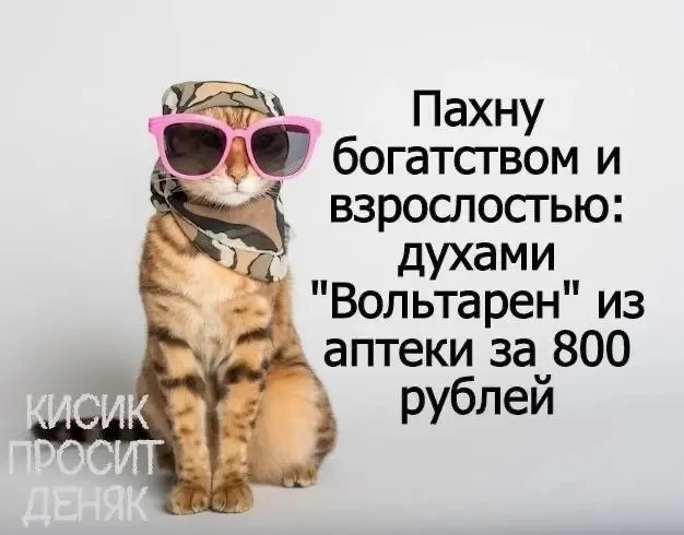 👉Юмористка
