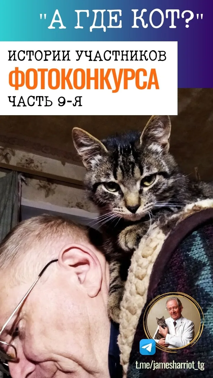 🐈 Вот кого вы еще не видели - так это предпоследнюю порцию участников нашего улыбковыз...