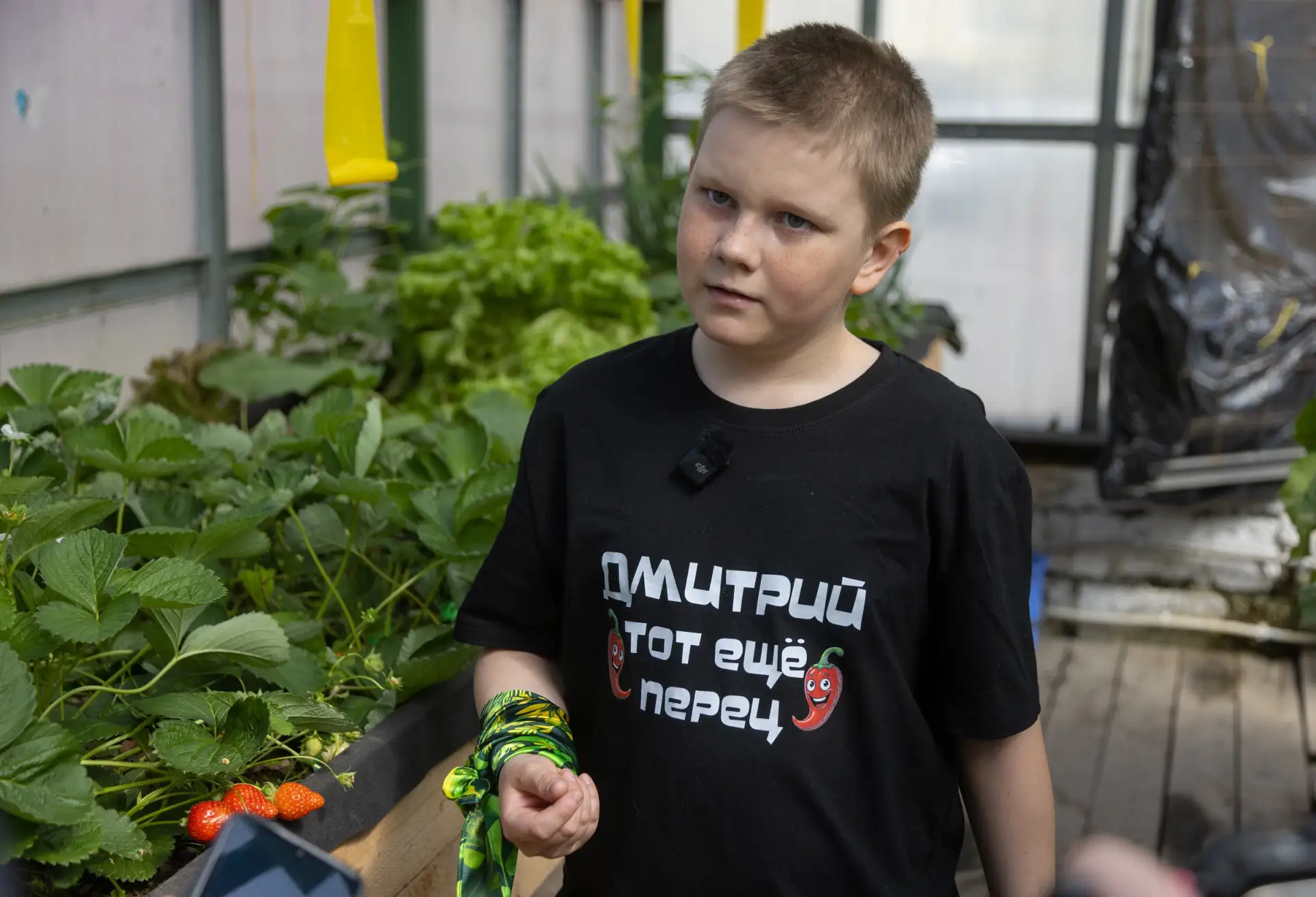 ☘️ Ещё одна современная теплица может появиться в школе №32  Разработать проект нового объекта и отр
