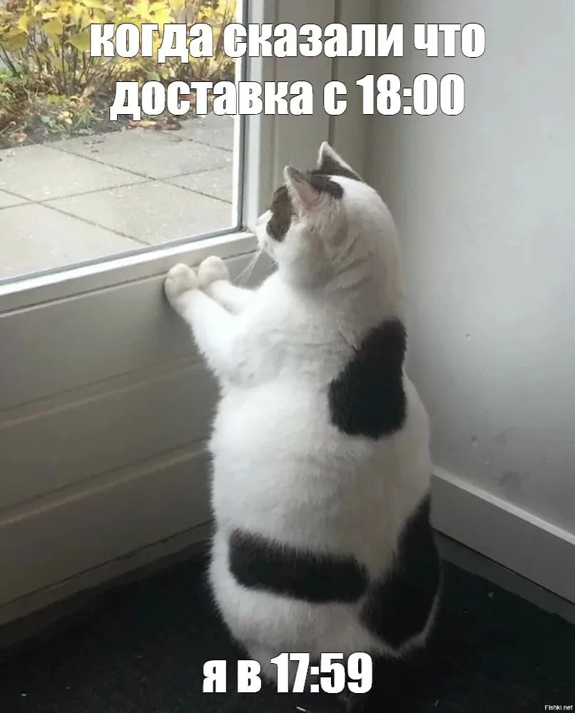 Югорчанин напал на курьера-доставщика и украл продукты