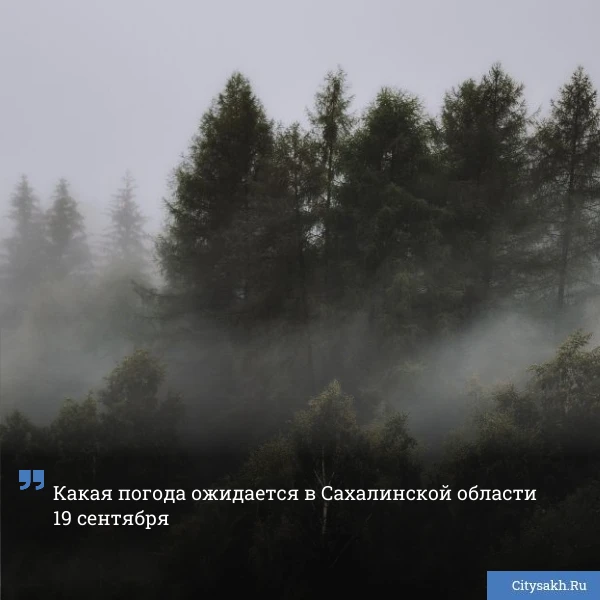 😶‍🌫️ Туман встретит сахалинцев утром субботы.