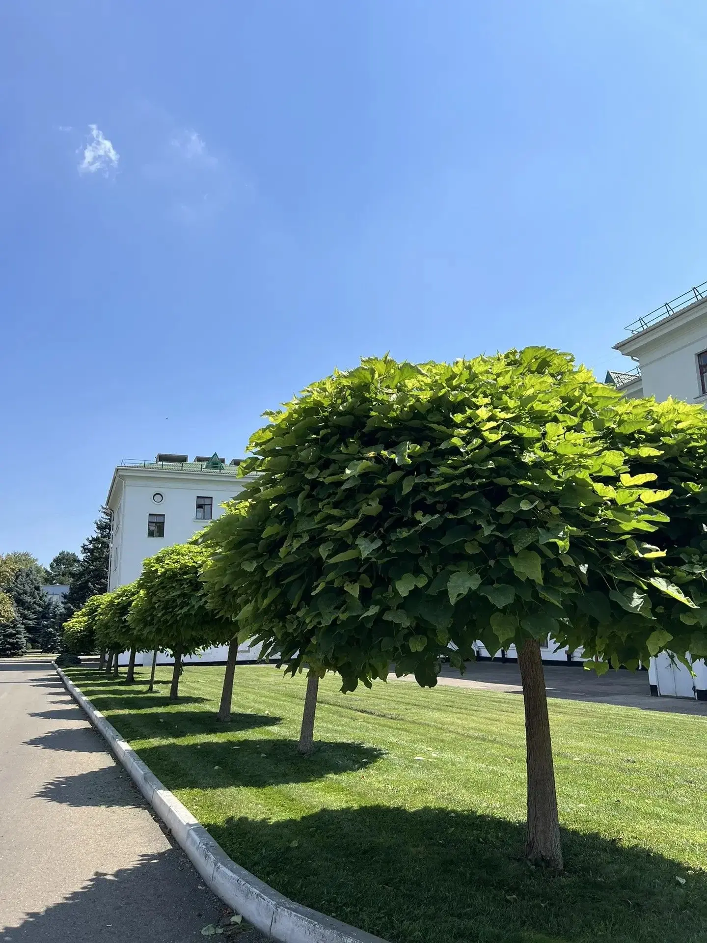 Доброе утро, друзья! ☀️