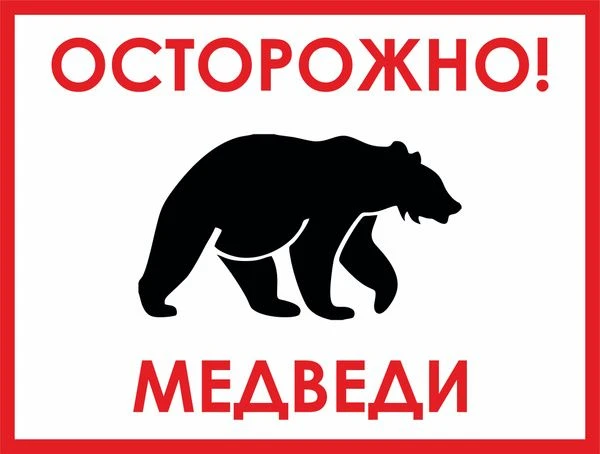 Внимание, медведь!