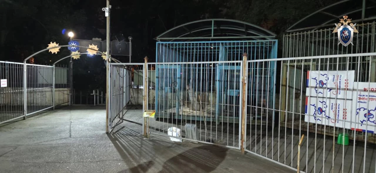 🔴 В Уссурийске медведь тяжело ранил сотрудницу вольерного комплекса

ЧП произошло вечером 30 июля в