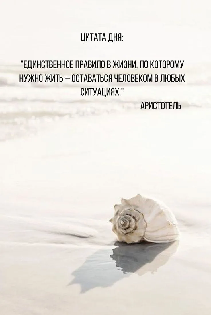#ССМПКиров #цитата_недели