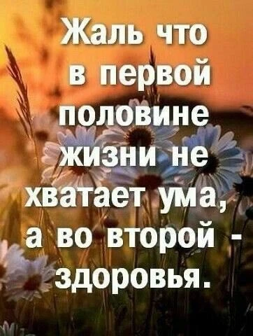 Изображение 1 к публикации «СТИЛЬНЫЕ ОТКРЫТКИ»