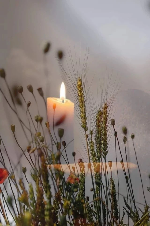 22 июня — День памяти и скорби 🕯️