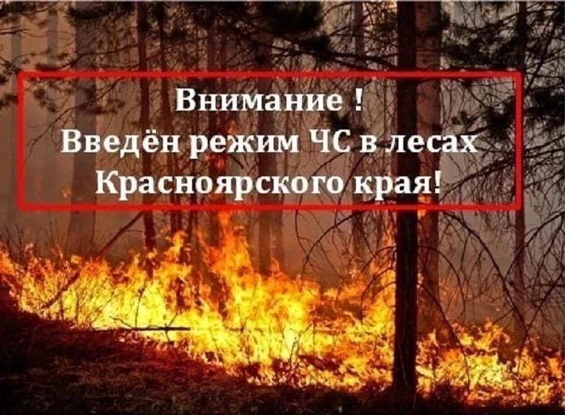 ⚠️В Красноярском крае действует режим ЧС в лесах:
 🔸ограничено посещение лесов и въезд в них трансп