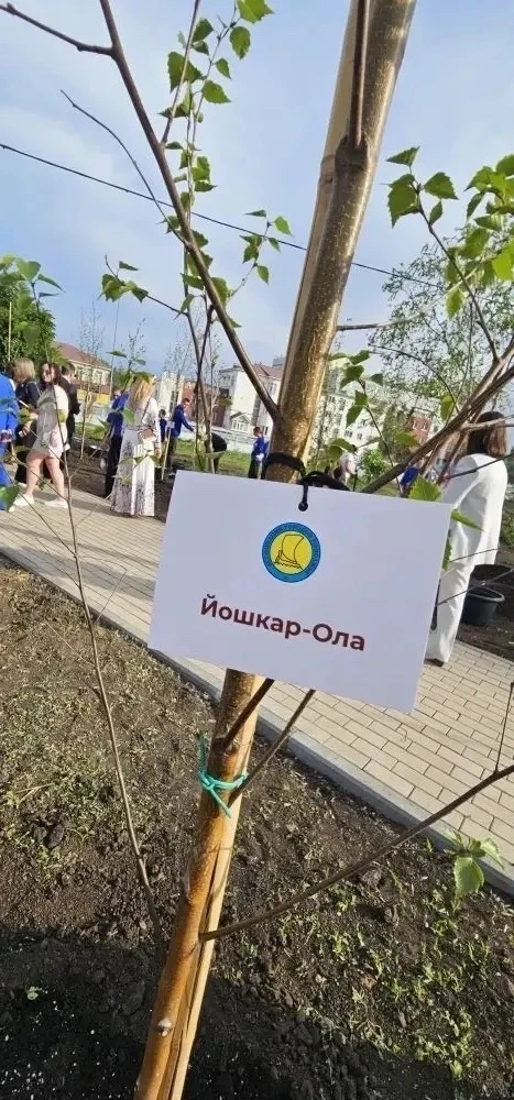 Глава городского округа "Город Йошкар-Ола" Евгений Кузьмин принял участие в Общем собрании Ассоциаци