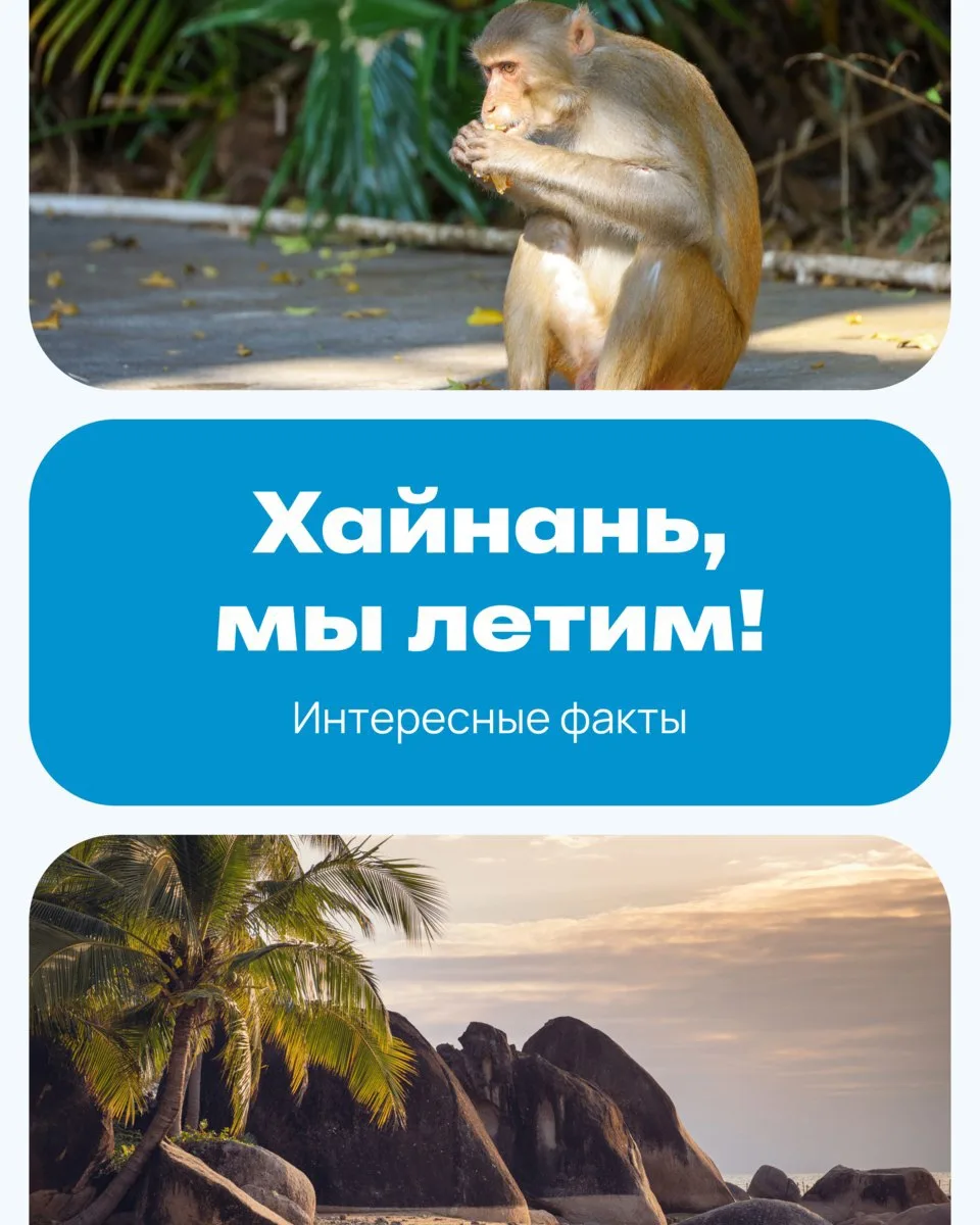 Летим на Хайнань от 112 031 ₽ за двоих 🏄‍♂️