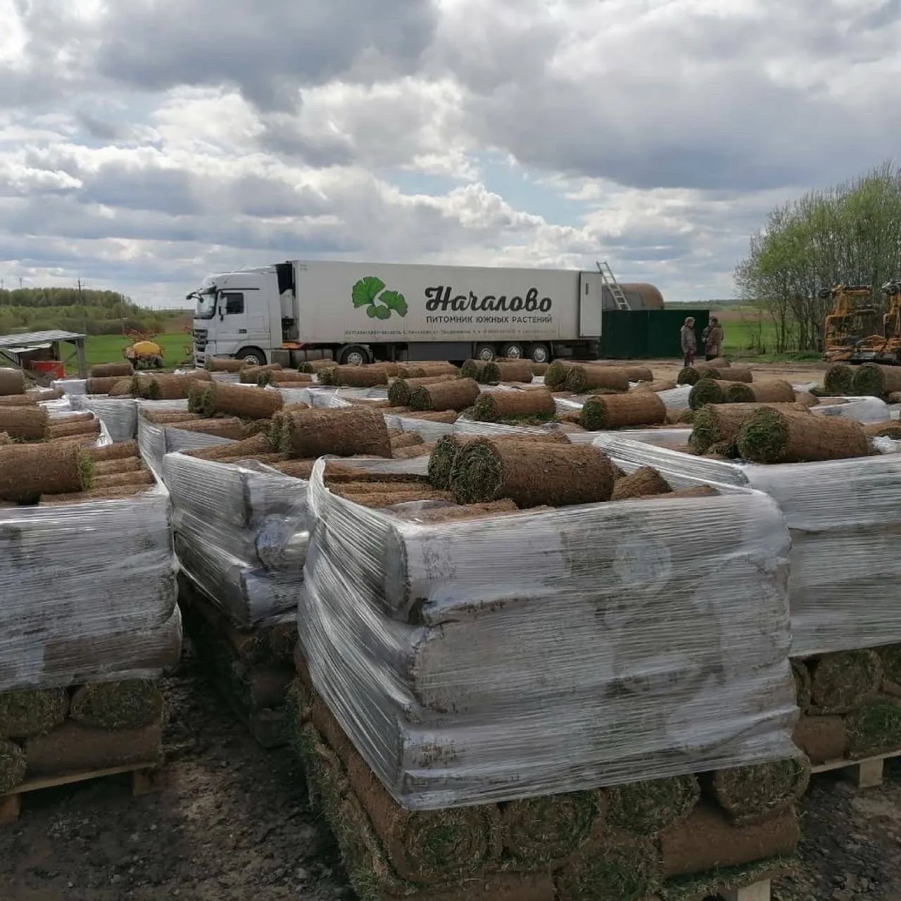 ГАЗОН 🌱 Принимаем заявки на  машину с выдачей 12-13 июня. Есть свободные рулоны.

Цену на газон уда