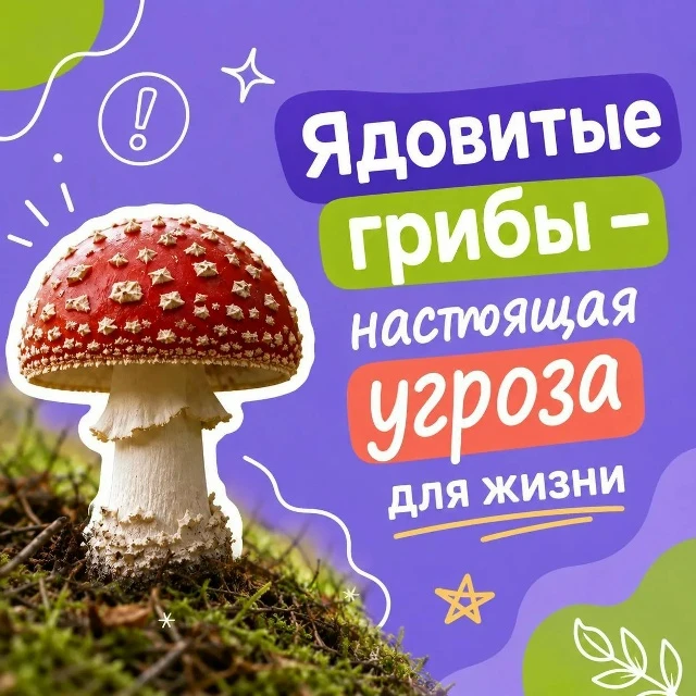 🌲 В Псковской области продолжается сезон «тихой охоты», на которую часто отправляются ...