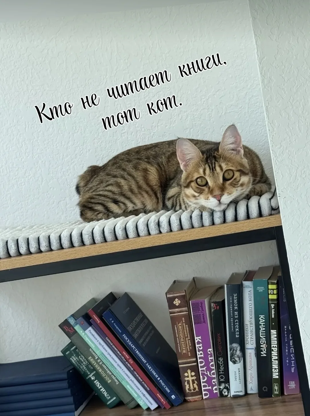 Всем хороших выходных,