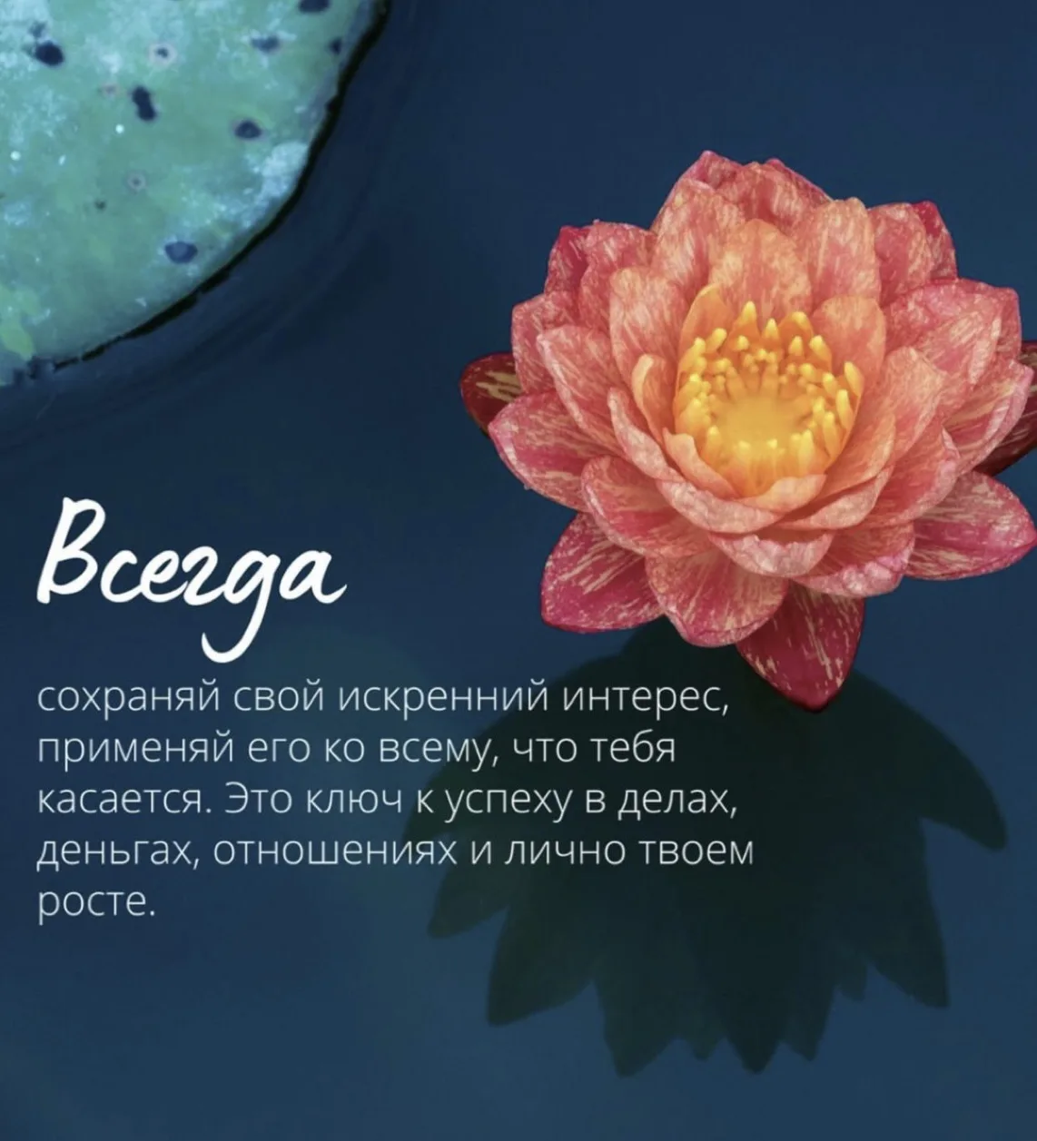 💌Вам пришло доброе напоминание💌
