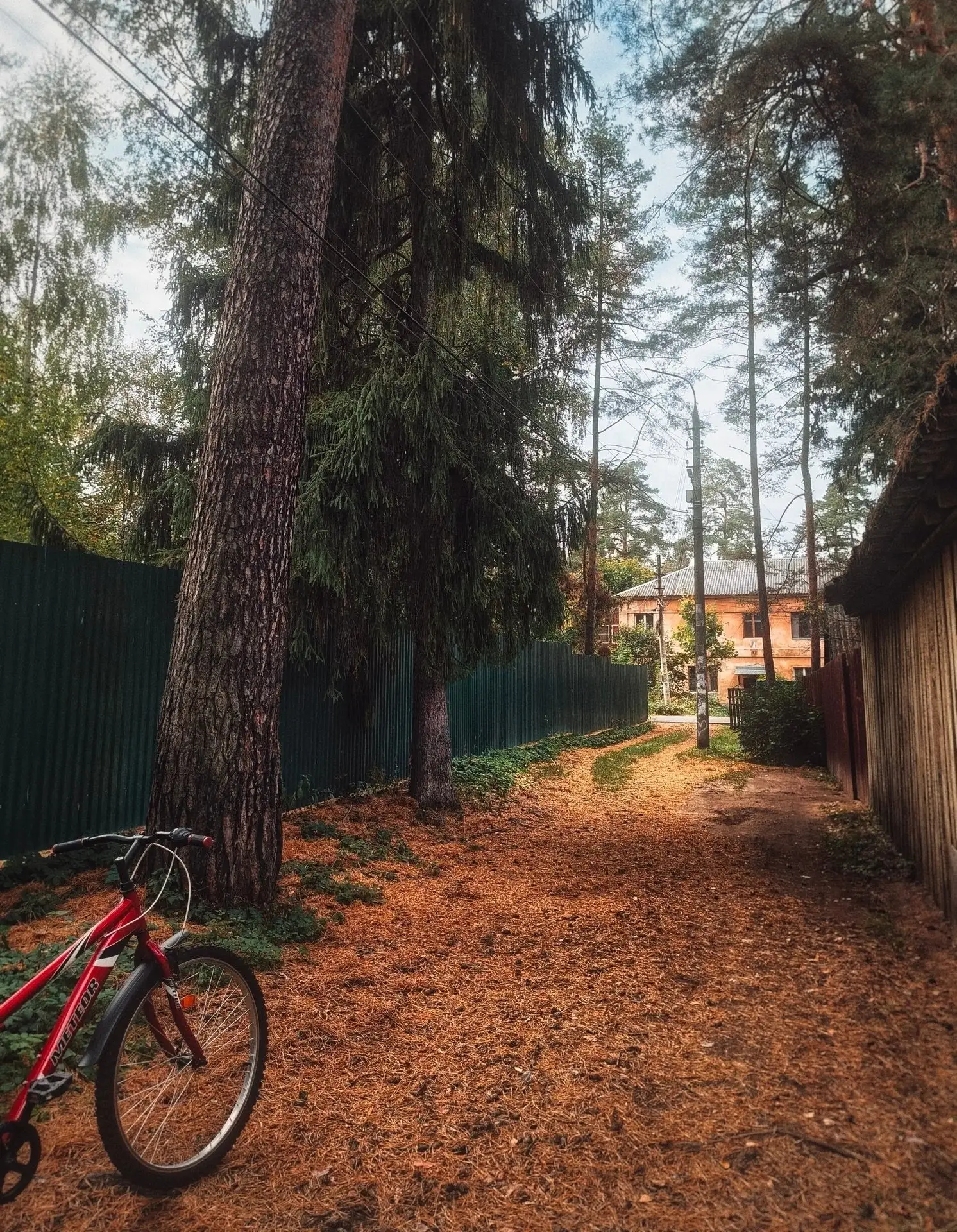 Осенние зарисовки