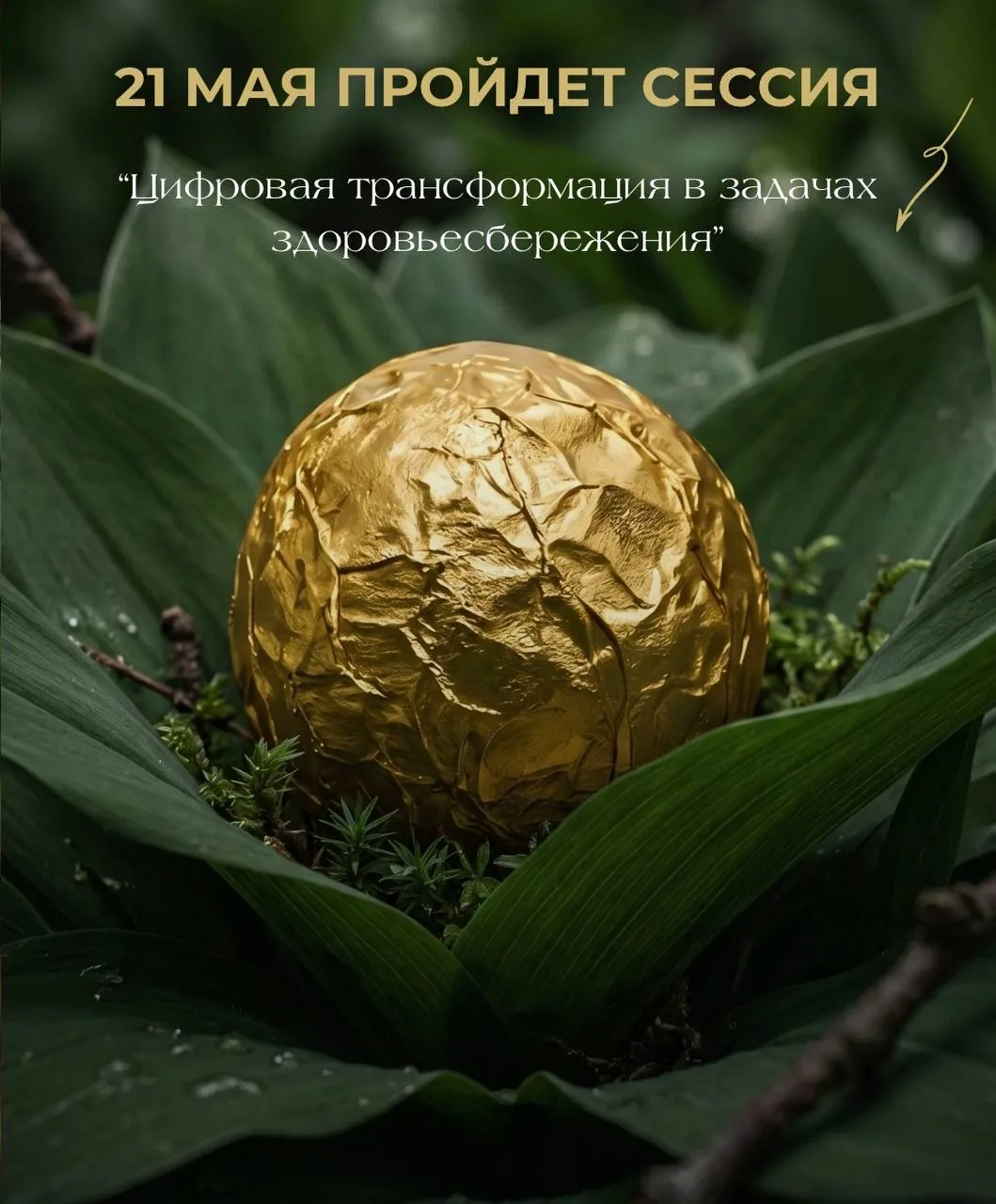 21 мая наш исполнительный директор Земфира Хисамутдинова примет участие в сессии «Цифровая трансформ