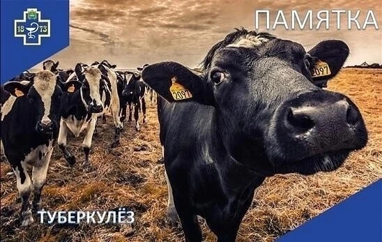 Туберкулёз — хроническое инфекционное заболевание, общее для человека и животных, харак...