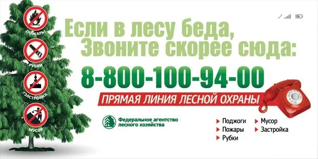 Сохраним лес от пожаров❗❗❗