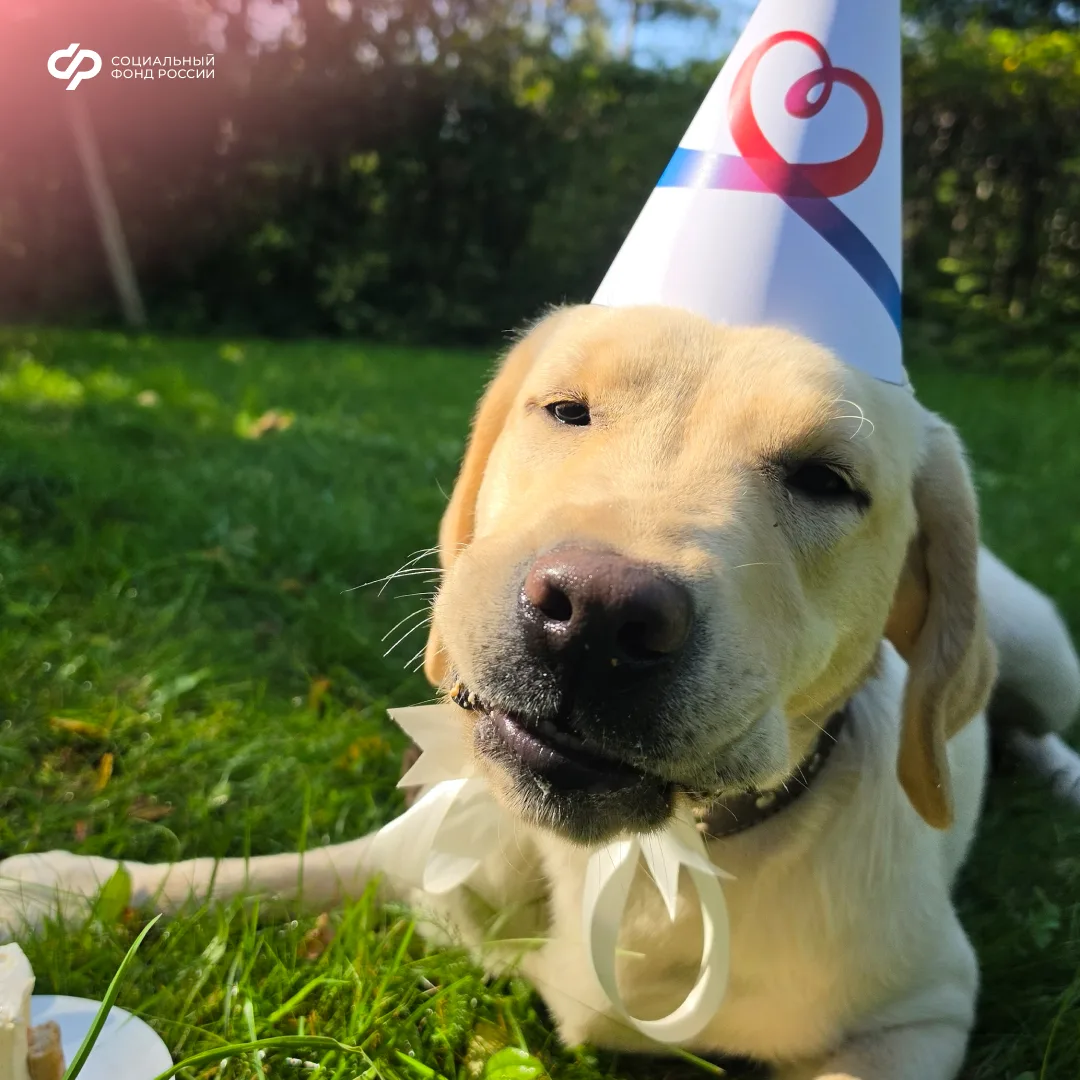 🎂 С днем рождения, Росинка