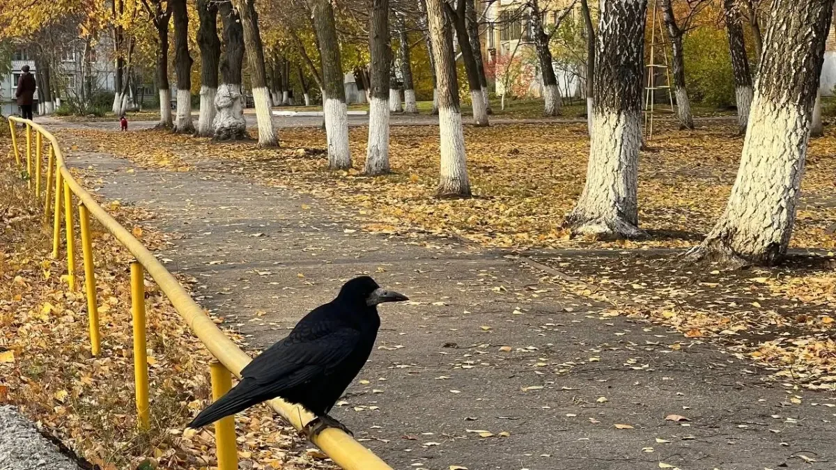 🥶 - 9°C: В Самарской области на 6 октября обещают заморозки