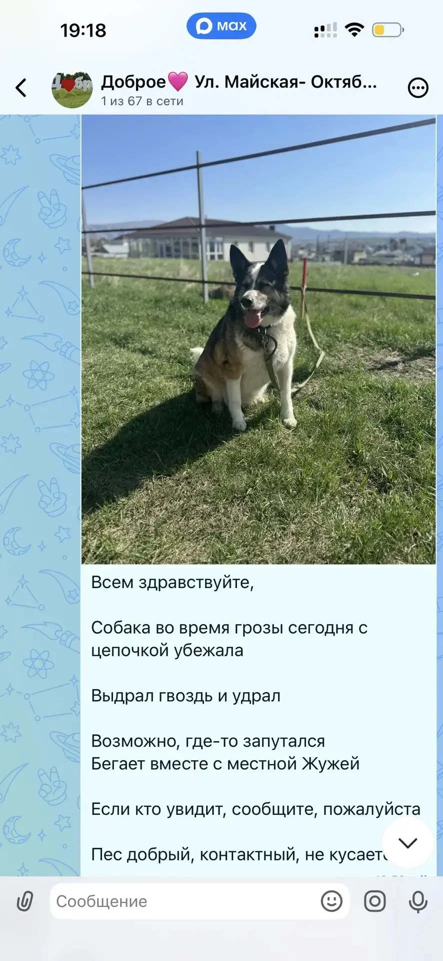 Новости к вечеру 😓