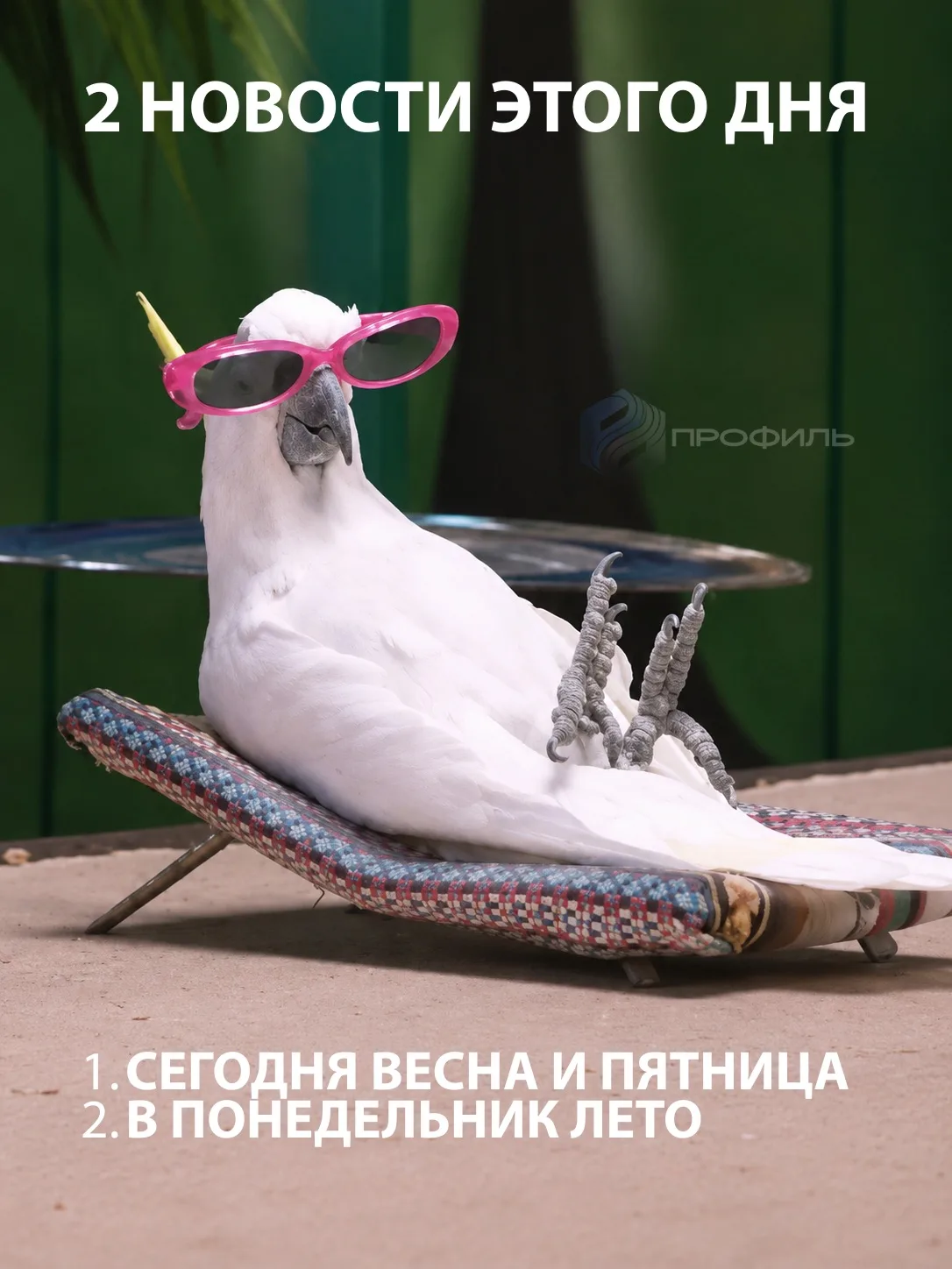 Чудесные новости в заключительный рабочий день недели!