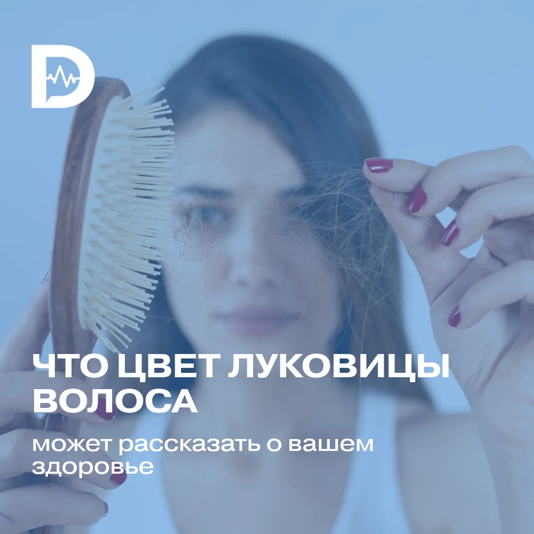 Если вы когда-нибудь выдёргивали волос, то могли заметить: у одних на конце белая или п...