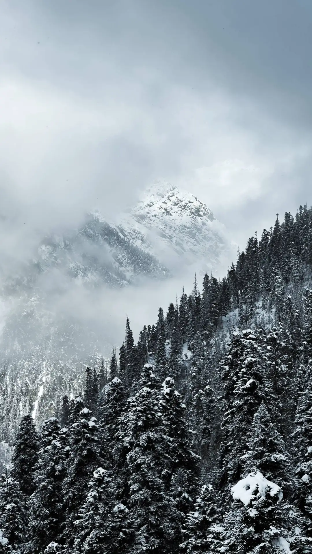 🏔️ Смотреть на горы Домбая можно бесконечно... Согласны? Ставьте ❤️  📸  Источник: ikseeee  • Наша гр