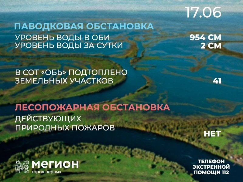 Лесопожарная и паводковая обстановка в Мегионе на 17 июня

1. Лесопожарная обстановка – действующих 