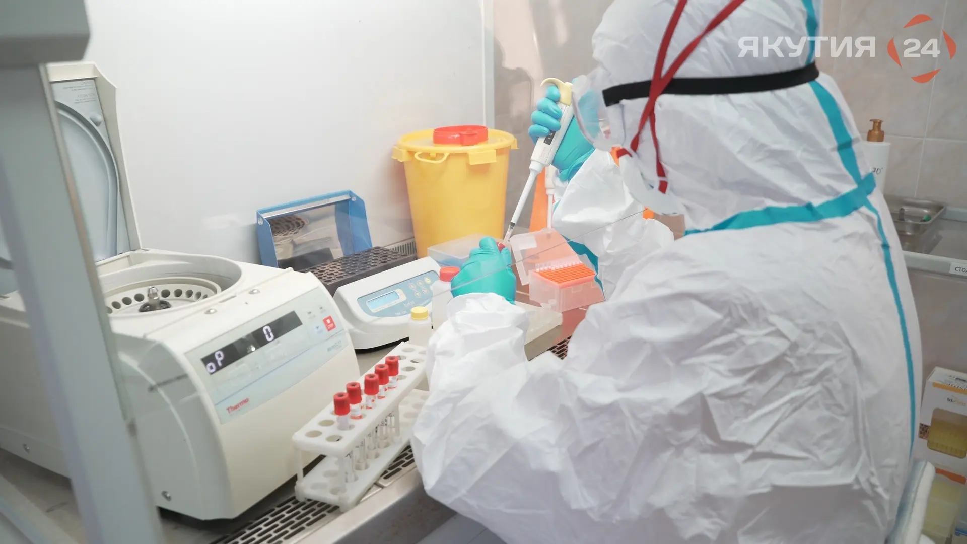 🧑‍🔬💪Химики из России и Канады создали гидрогель для изучения болезней мышц