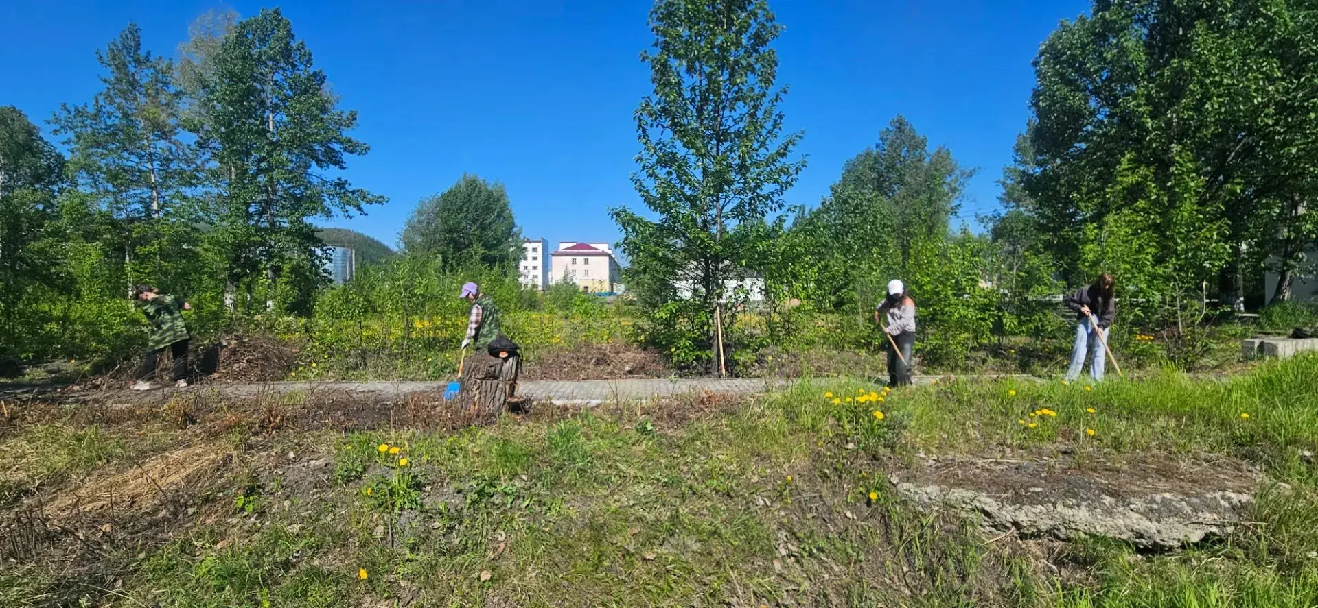 ☀️ Трудовой день с пользой и смыслом! ☀️

Наши трудовые отряды снова в деле — и сегодня было по-наст
