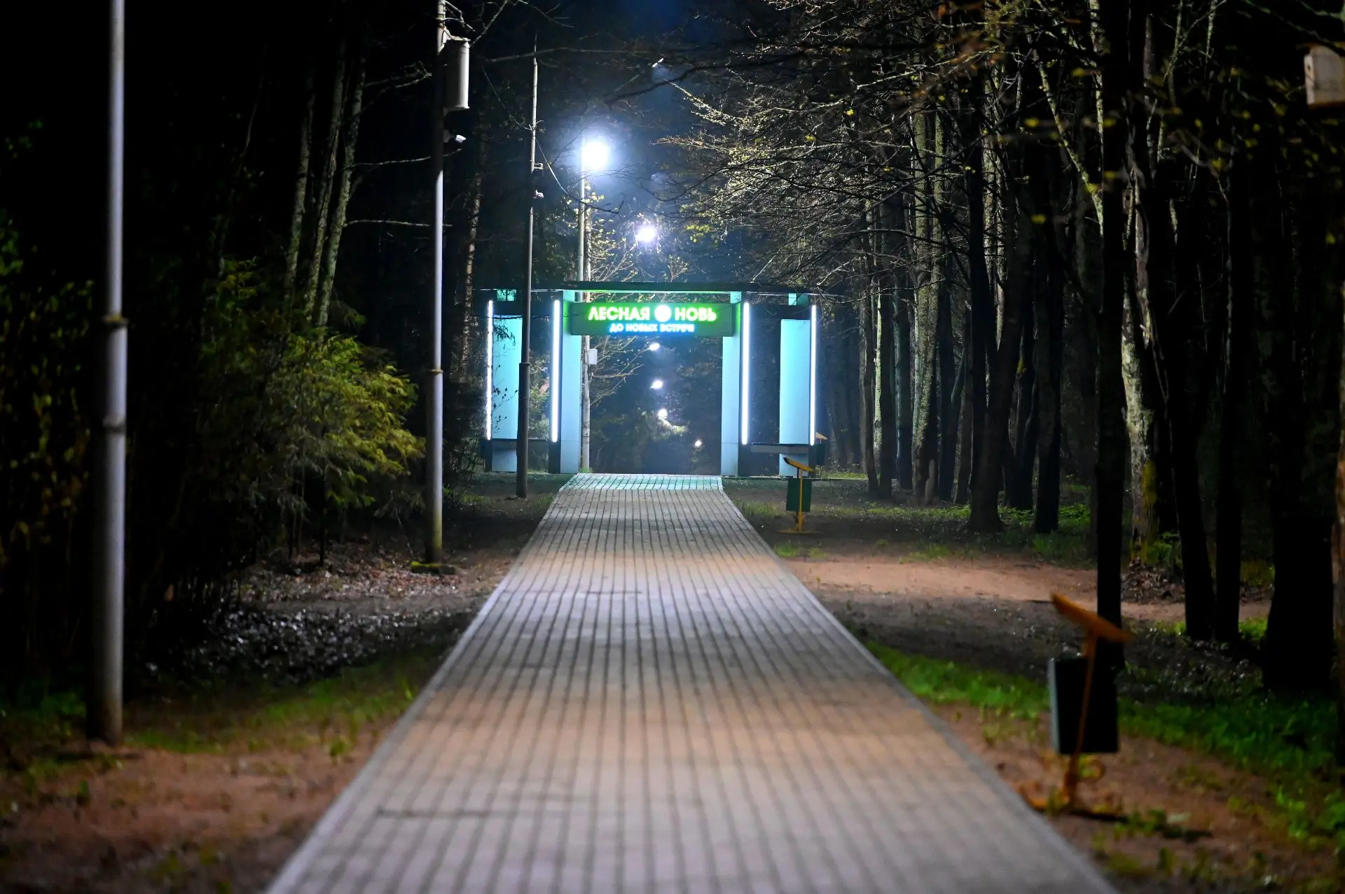 Дышится легко, думается хорошо 🌿