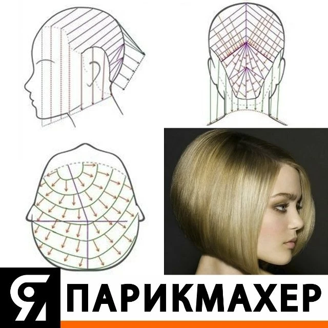☄️ im-prof.com это приложение уже стоит в телефоне каждого парикмахера, стилиста, колориста, бровист