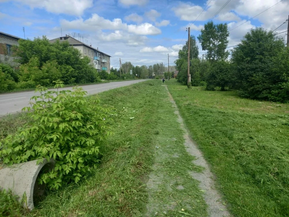 11.06.2026 г.