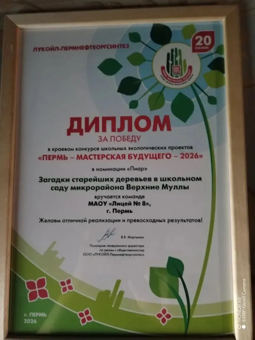 Поздравляем с победой команду лицея и руководителей!
В понедельник начинается реализация проекта.