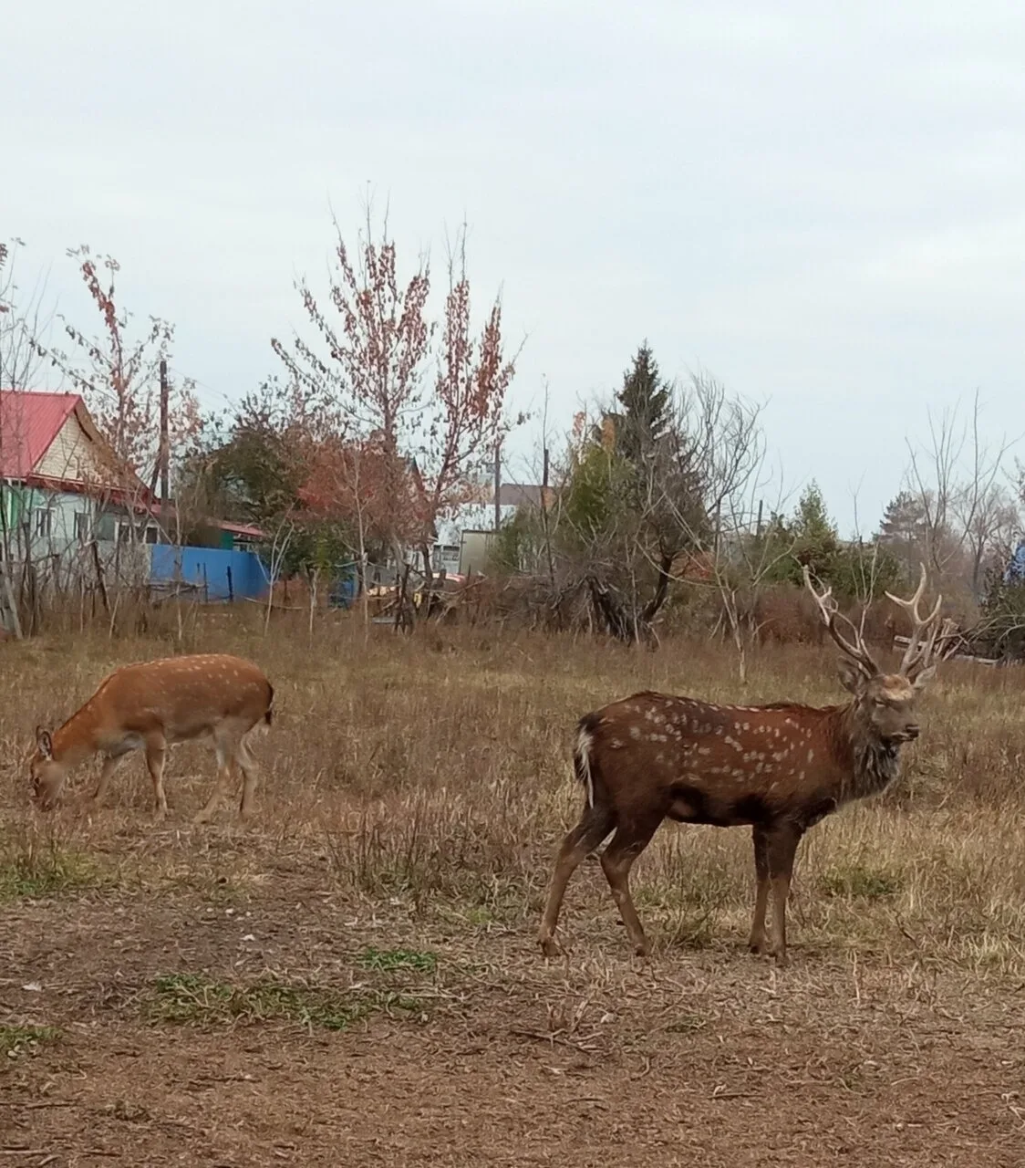 Присылайте Ваши фото в "Предложить пост"