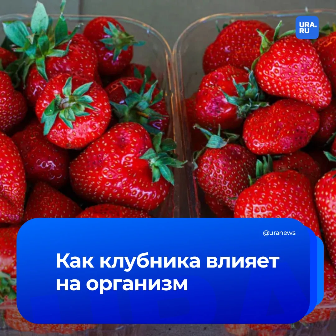 Список полезных свойств клубники звучит внушительно: антиоксиданты, защита сосудов и фитоэстрогены. 