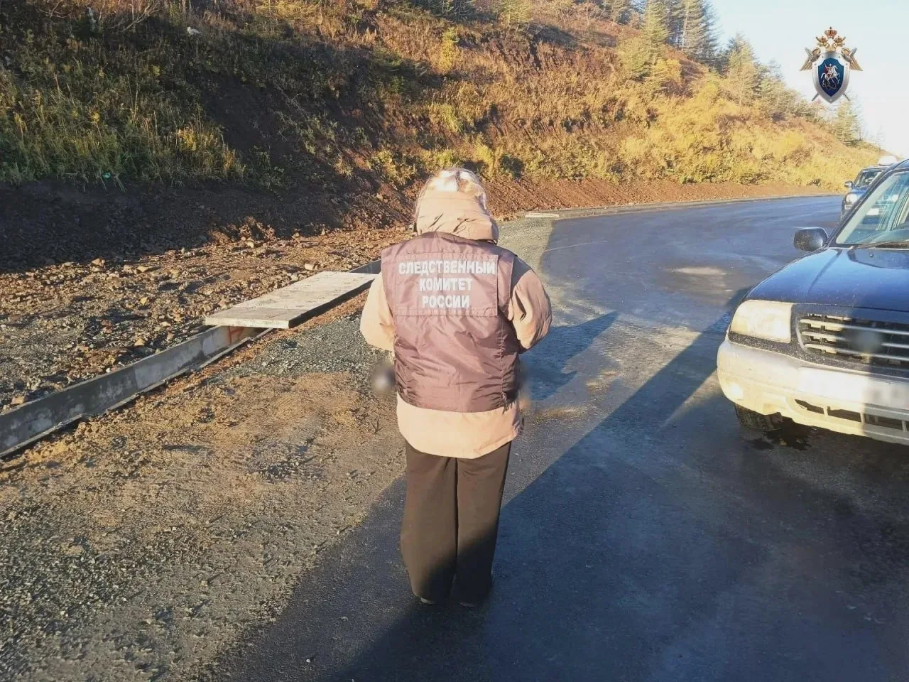 Тело 74-летнего мужчины обнаружили на трассе